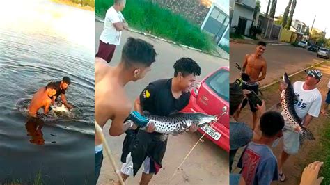 Moradores Se Divertem Ao Fisgar Peixe Gigante Na Lagoa Itatiaia