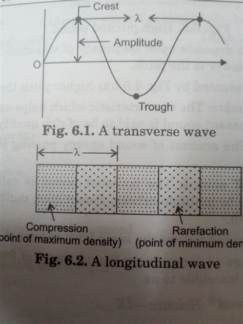 Graphically represent Longitudinal wave Transverse wave - Science ...