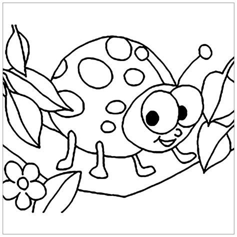 Piccola Coccinella Disegni De Insetti Facili Da Colorare Per Bambini