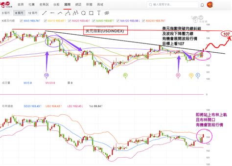 台股再衝上軌 Or 假突破真修正 股市brucelee 投資網誌 玩股網