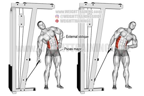 Cable Weight Machine Back Exercises Donella Stearns