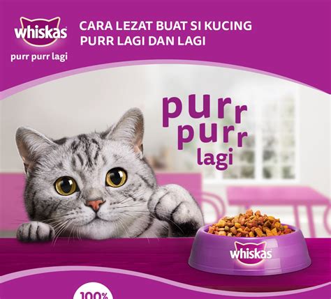 Jual Whiskas Skin And Coat Makanan Kucing Kering Untuk Kucing Dewasa