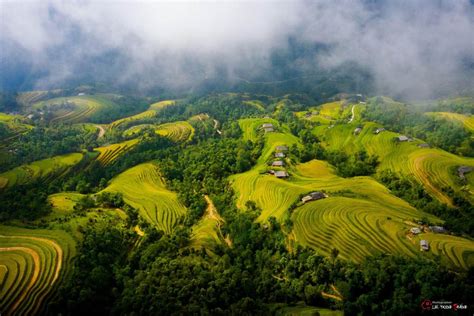 Ngỡ ngàng trước vẻ đẹp của ruộng bậc thang Hoàng Su Phì vào mùa lúa ... 
