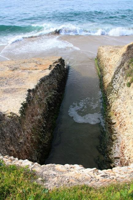 Davenport Beach in Davenport, CA - California Beaches