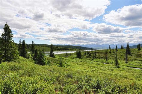 Wonder Lake Alaska Photograph by Phyllis Taylor - Fine Art America