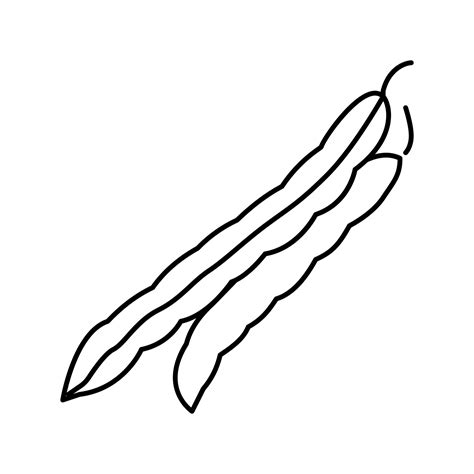 green bean clip art 5