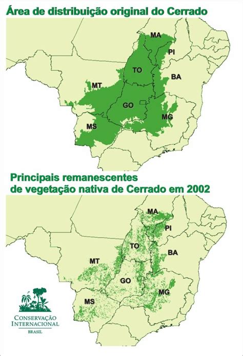 Rede Cerrado No Cerrado