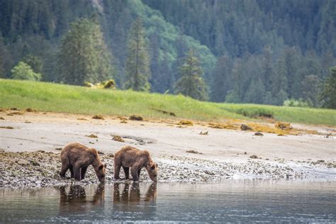 Estuaries Stories From A Fertile Realm Oceanographic