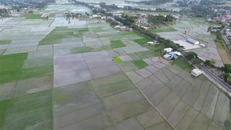 Missão De Investigação Da Terra Dos Arrozais - Vista aérea dos arrozais vista aérea da agricultura nos campos de arroz ...