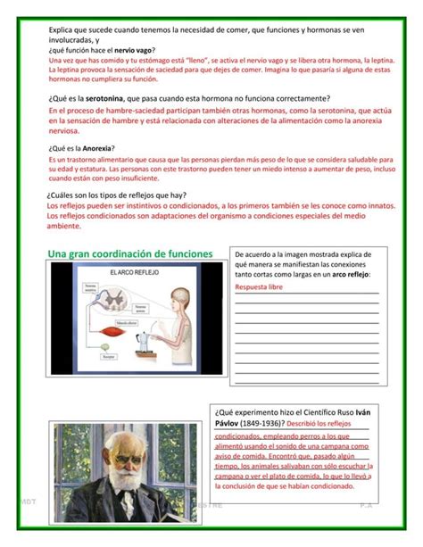 Cuadernillo Actividades Trimestre II Ciencias I PDF Descarga Gratuita