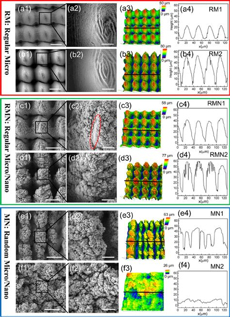 Surface Topographies And Morphologies Each Line Shows One Type Of