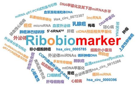 技术生物活性与效应技术用于中药质量评价（1） 知乎