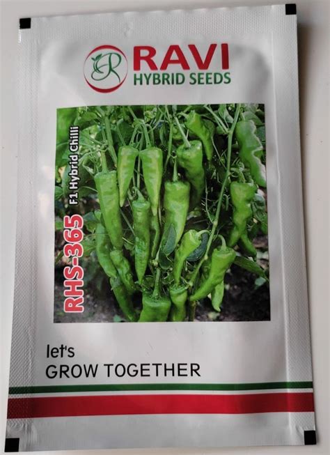 Natural Hybrid Chilli Seeds RHS 365 For Agriculture Packaging Size