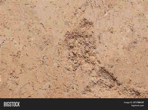 Texture Ground Image & Photo (Free Trial) | Bigstock