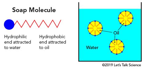 Stupendous Suds Lets Talk Science