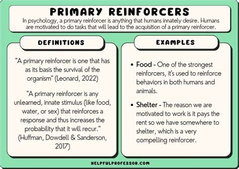 15 Primary Reinforcer Examples (2025)