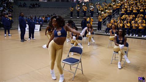 Southern University Fabulous Dancing Dolls Highlights State Fair