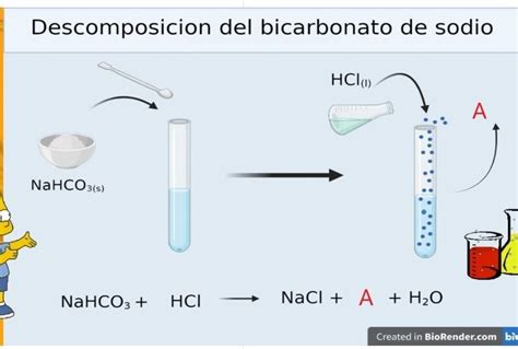 En La Reaccion Del Bicarbonato De Sodio Nahco Con El Acido