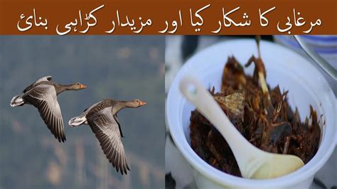 Murghabi Ka Shikar Duck Hunting Murghabi Ki Receipe Murghabi Ki