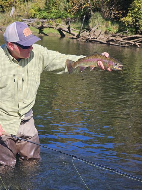 A Memorable Fishing Experience On Norfork River Exploring W