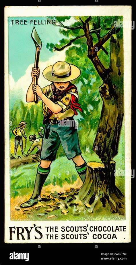 Boy Scouts Tree Felling Vintage Tradecard Illustration Stock Photo