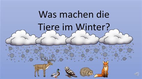 Tiere Im Winter YouTube