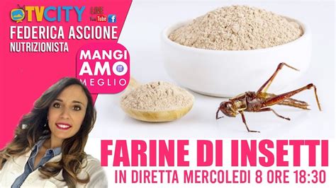 Farine Di Insetti TVCITY Mangiamo Meglio YouTube