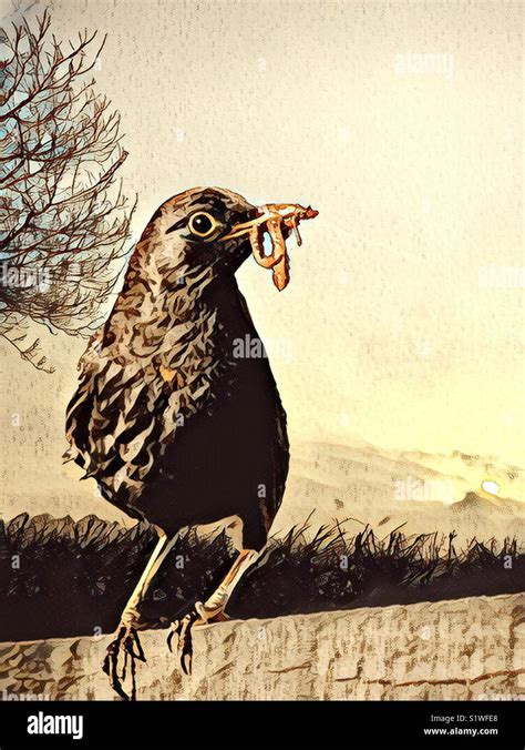 Early bird catches the worm Stock Photo - Alamy