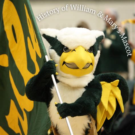 A Short History Of William & Mary’s Mascot | STEP Toward Success Blog