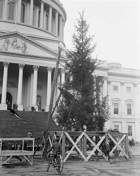 Christmas Tree in Washington D.C. in 1913 Photograph by Visions History ...