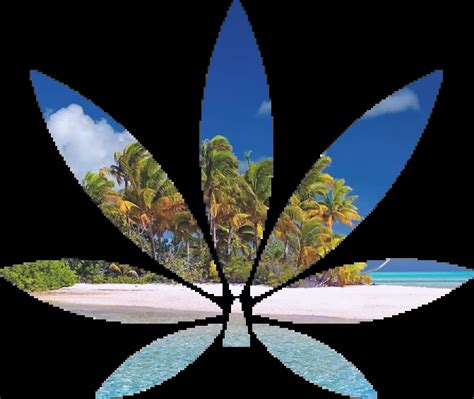 Island Sweet Skunk Cannabis Strain Informationen Weed Sorten