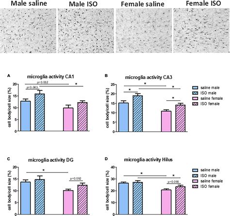 Frontiers Sex Dimorphism In Isoproterenol Induced Cardiac Damage