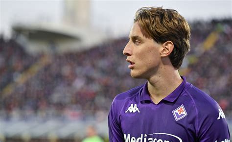 Fiorentina Coreografia Pronta Per Bove Per Edo E Per Tutti I Nostri