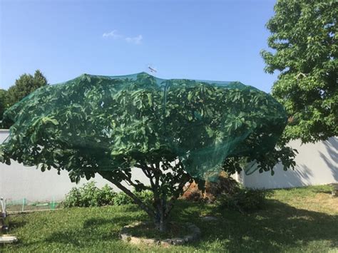 Photos de nos clients Filets anti oiseaux La Fabrique à Filets