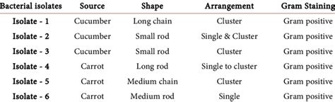 Morphological characterization of bacterial isolates. | Download ... 