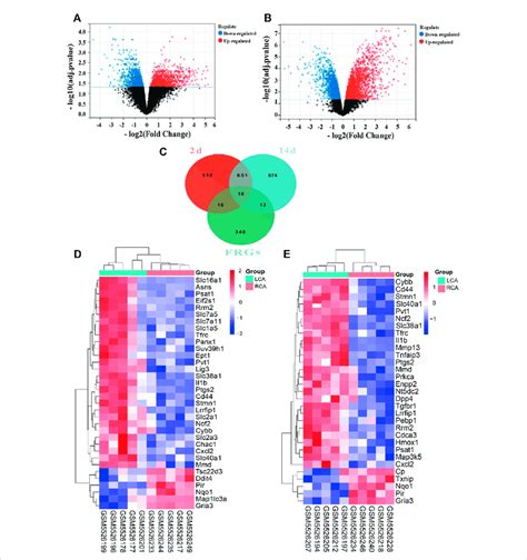 Differentially expressed ferroptosis-related genes (FRGs) in early and ... 