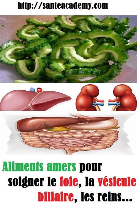 Comment manger des aliments amers pour soigner le foie la vésicule