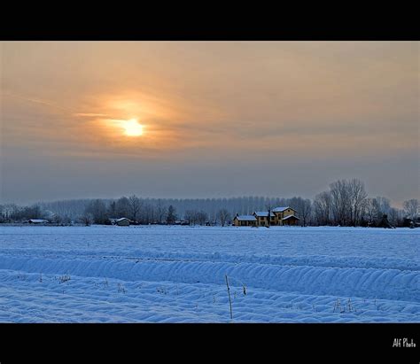 Snow Again Campagna Di Vigevano In Un Altra Fredda Alfredo