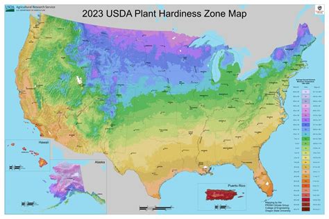 USDA releases new hardiness zone map for United States - Gulf Coast Media