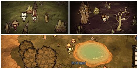 Best Biome To Build A Base In Don't Starve Together