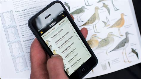 Discover The Best Birdwatching Apps And Field Guides A Comprehensive Guide