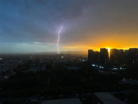 北京骤雨大风刮倒多棵大树，大树长得好好的，怎么一场大风就都被吹倒了呢？强对流大风大树新浪新闻