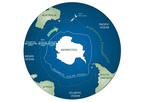 Welcome To The Southern Ocean Antarctic And Southern Ocean Coalition