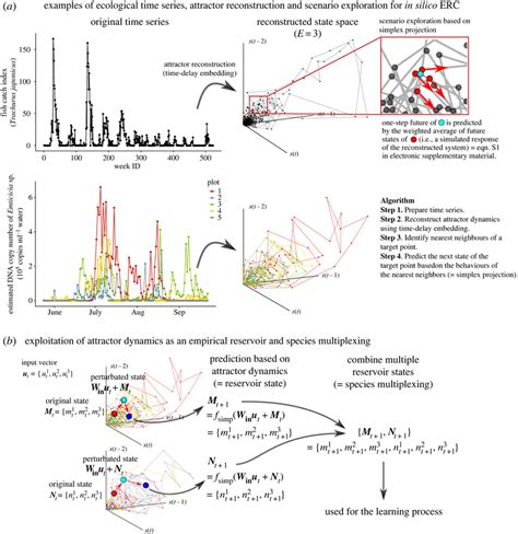 Schematic Illustrations Of In Silico Ecological Reservoir Computing Download Scientific Diagram