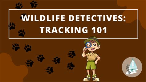 Wildlife Detectives Tracking 101 Shadow