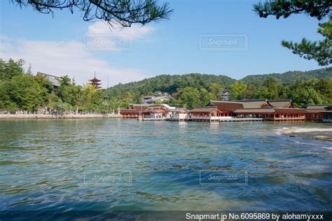 海に浮かぶ厳島神社の写真・画像素材 6095869 Snapmart（スナップマート）