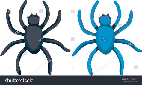 11671 Spider With 8 Legs Images Stock Photos And Vectors Shutterstock