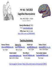 B Syllabus History Pdf Psy Fall Cognitive Neuroscience