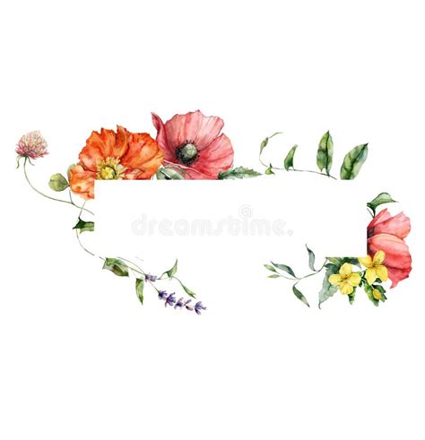 Watercolor Meadow Flowers Horizontal Frame Of Poppy Clover And