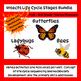 Esl Insect Life Cycle Bundle Bee Butterfly And Ladybug Prek Rd